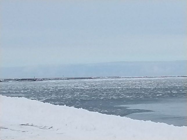 網走の流氷写真