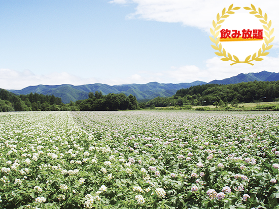 【網走】　農業・漁業に触れる旅！自然豊かな北海道を見て！感じて！味わう！　じゃがいも焼酎工場見学付きツアー　～ランチ～