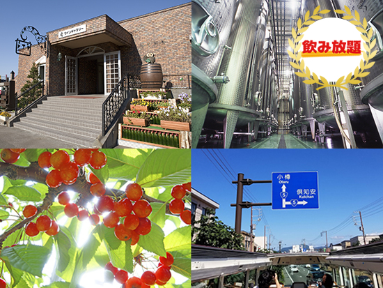【札幌】　小樽・余市をめぐる運河とワインとさくらんぼ狩りツアー　～ランチ～