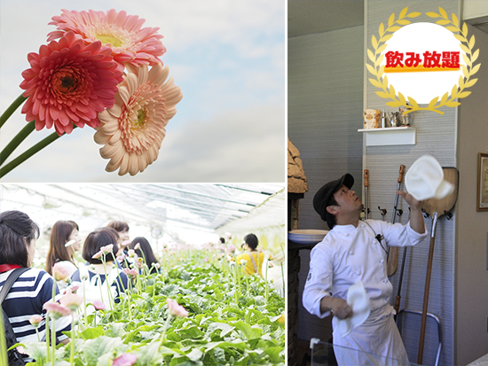 【札幌】　フォトジェニック・花畑レストランバス　～ランチ～　